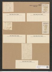 Hantzschia amphioxys var. xerophila Grun. (de-Toni-Nr.: Genus 50, Species 2204) Zeichnungen Sammlung Grunow Nr. 4608 (NHMW-BOT-W0372648)
